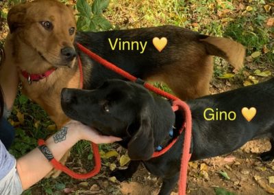 Gino and Vinny