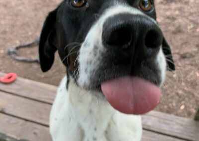 Max