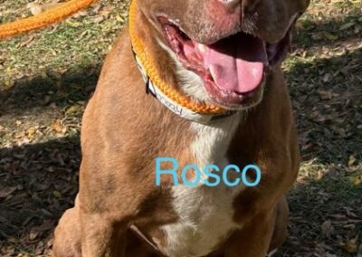 ROSCO