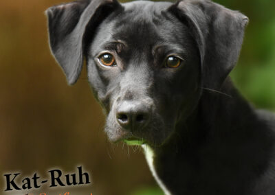 Kat-Ruh