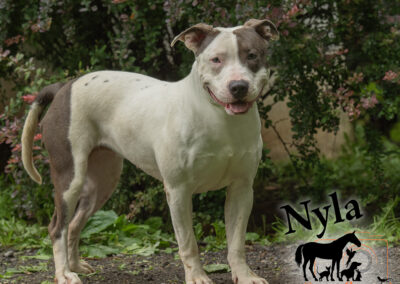 Nyla