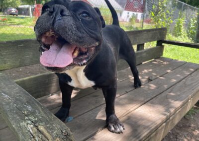 Gina