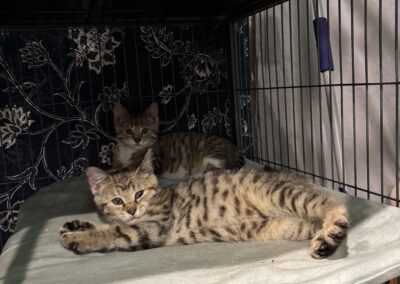 NONA AND NED