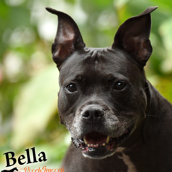 BELLA