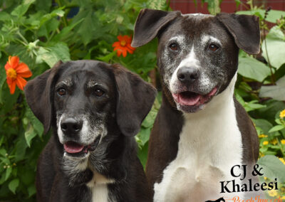 CJ AND KHALEESI