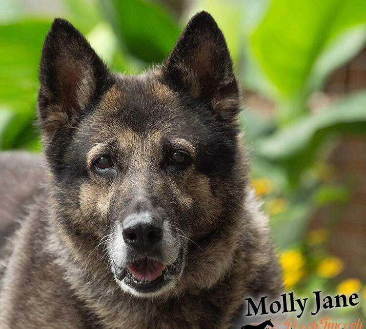 MOLLY JANE