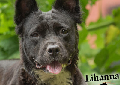 LIHANNA