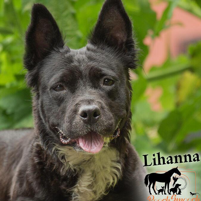 LIHANNA