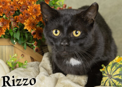 RIZZO